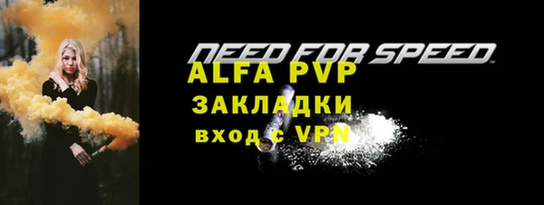 молекула духа Медвежьегорск