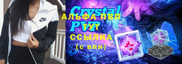 стаф Вяземский