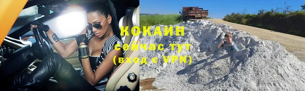 молекула духа Медвежьегорск