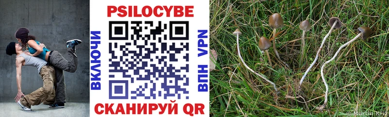 купить закладку Кашин Псилоцибиновые грибы прущие грибы