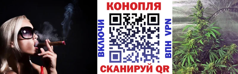 Каннабис гибрид  Кашин 